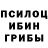 Галлюциногенные грибы мицелий Vika Benton