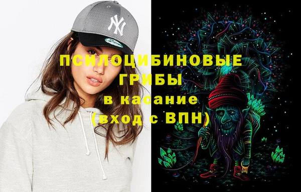 крисы Володарск