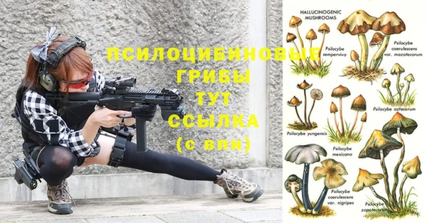 ГАЛЛЮЦИНОГЕННЫЕ ГРИБЫ Волосово