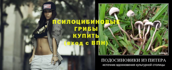 ГАЛЛЮЦИНОГЕННЫЕ ГРИБЫ Волосово
