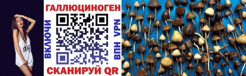 mega ТОР  Улан-Удэ  Псилоцибиновые грибы Cubensis 